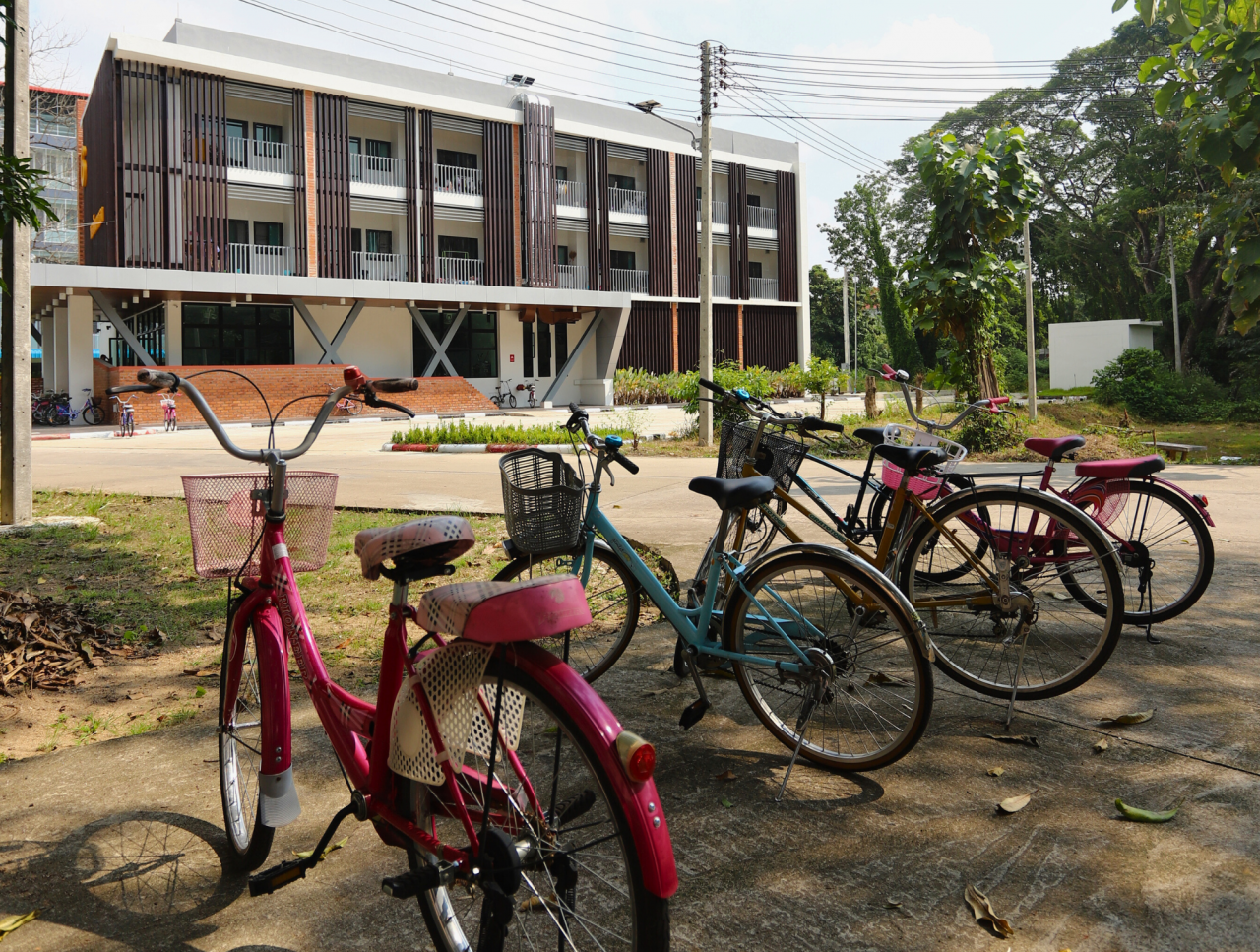 Bike Service and Univerity Vehicle Use