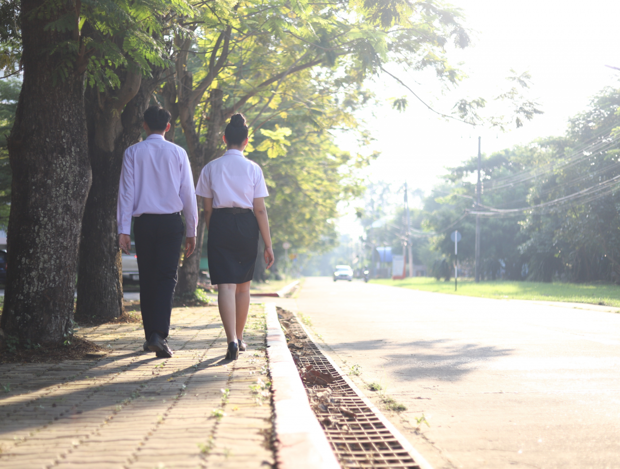 Pedestrian and Disability Support on Campus