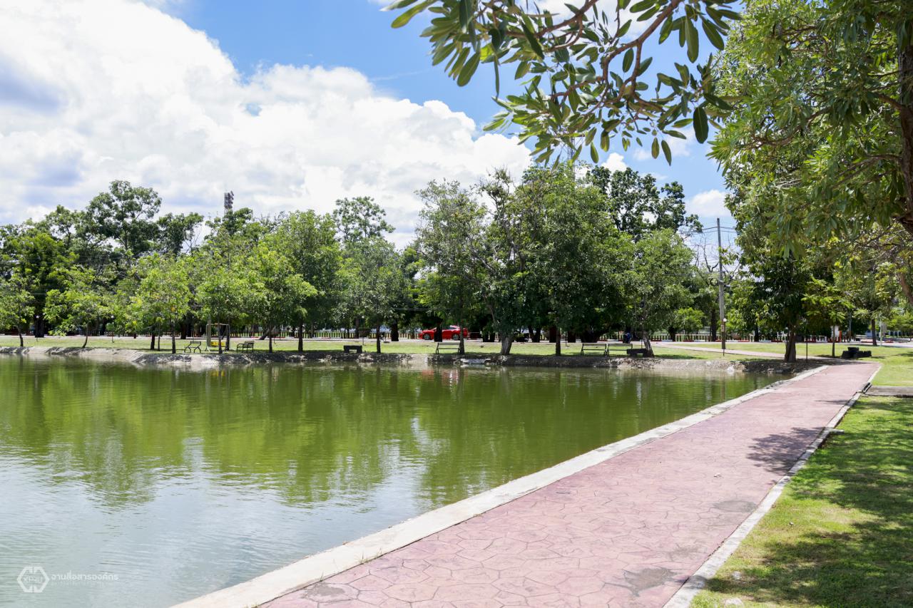 Pedestrian and Disability Support on Campus