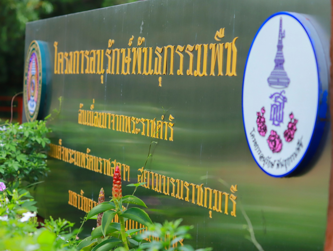 The Plant Genetic Conservation Project Center under the royal initiative of Her Royal Highness Princess Maha Chakri Sirindhorn